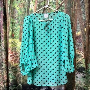 Hi There Karen Walker Anthropologie Mint Green Polka Dot Blouse 2